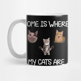 Home Is Where My Cats Are Cat Meme Mug